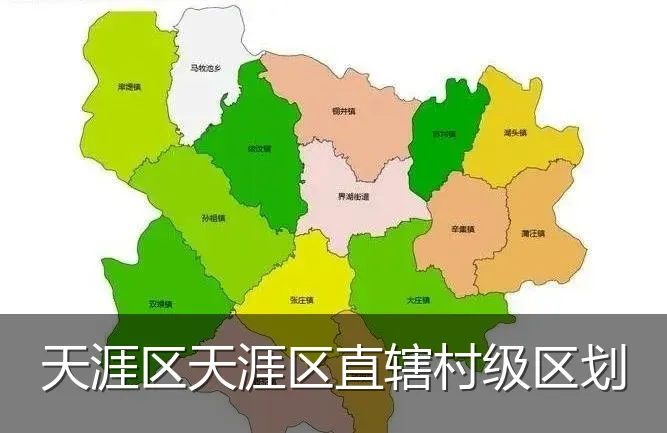 天涯区天涯区直辖村级区划